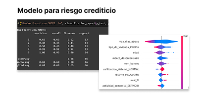 Imagen del proyecto